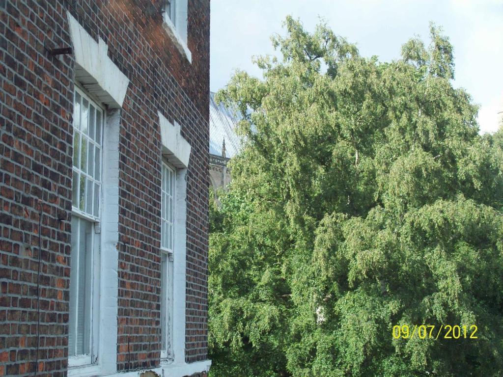 Minster Garth Guest House Beverley Δωμάτιο φωτογραφία